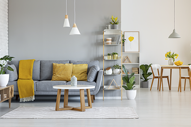 Domina la paleta de colores y las texturas